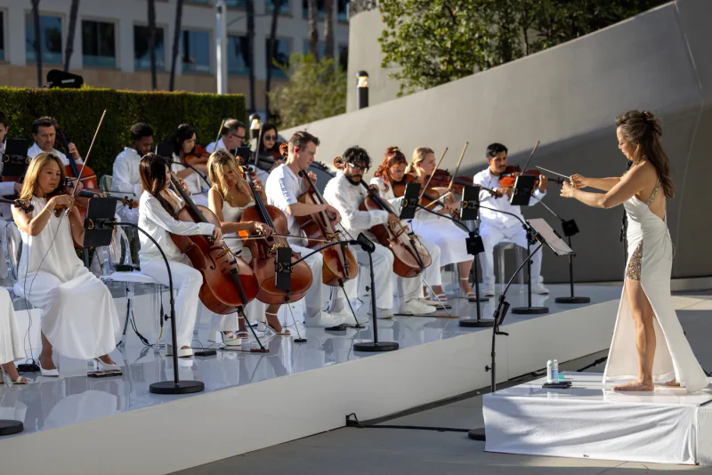 An orchestra in performance